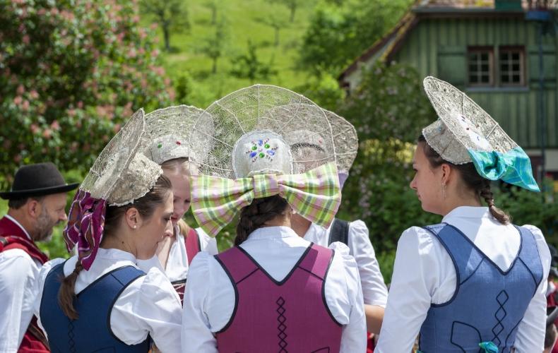Bauernhof Museum Wolfegg Feste
