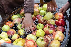 Äpfel werden in einem großen Zuber gewaschen