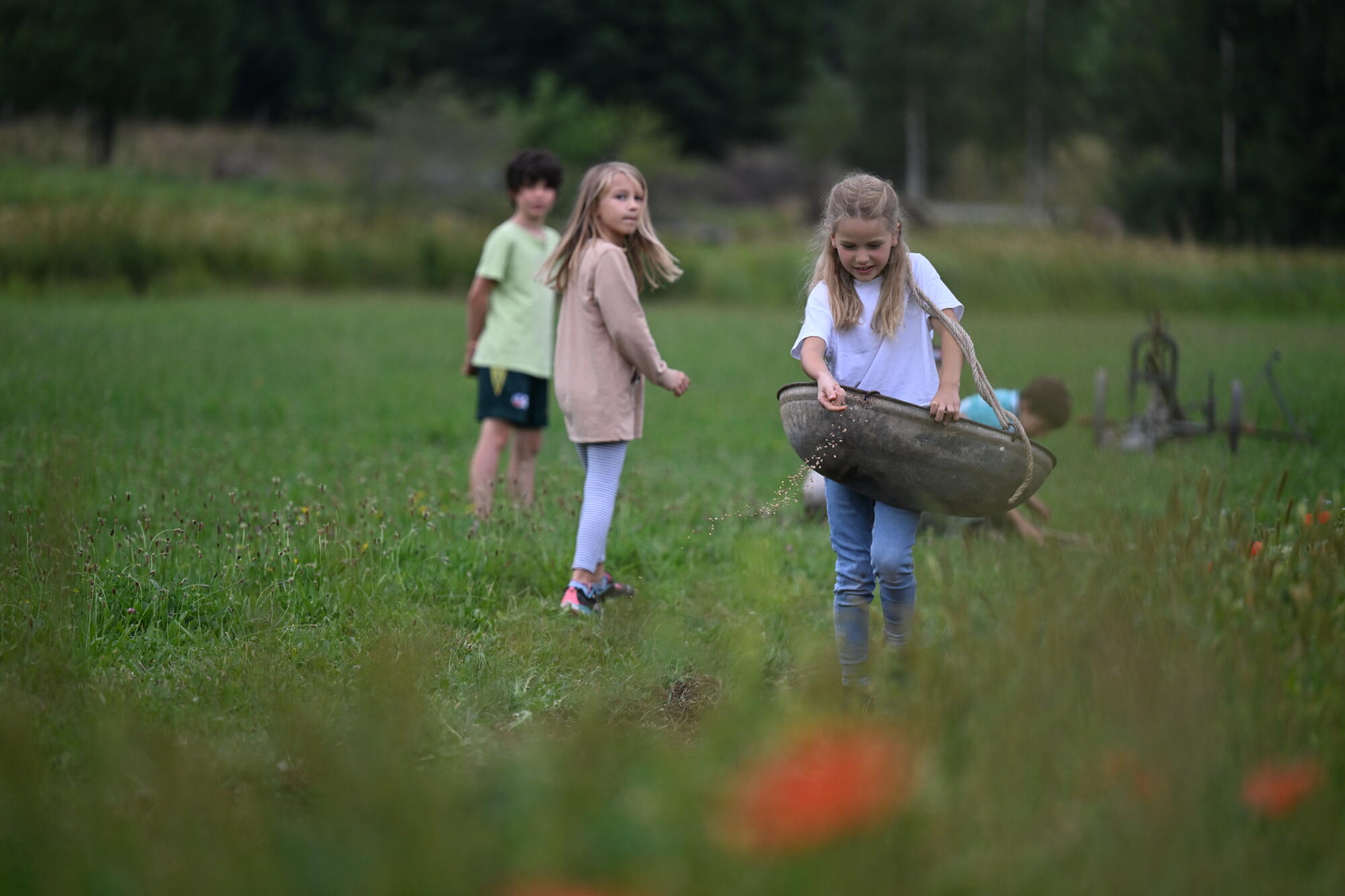 Bauernhausmuseum in Wolfegg: Erst- und Zweitklässler aus der Grundschule Wolfegg zu Besuch