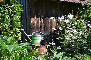 Blick in einen idyllischen Bauerngarten.